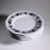 Komplet talerzy obiadowych Rosenthal Maria Bratki lata 70te