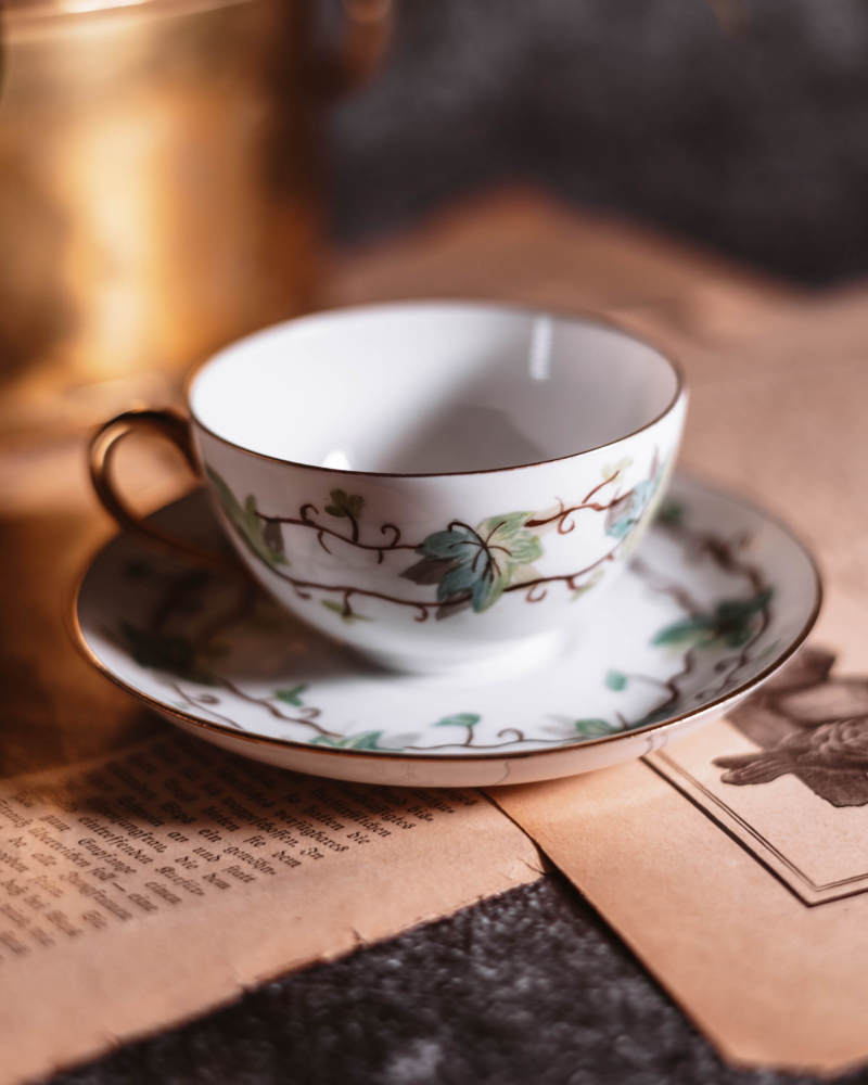 Duo do espresso Thomas Bavaria lata 30te