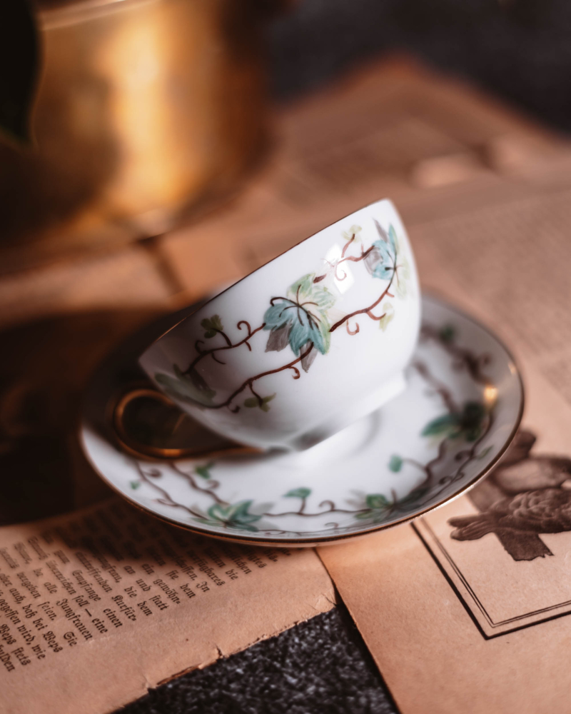 Duo do espresso Thomas Bavaria lata 30te