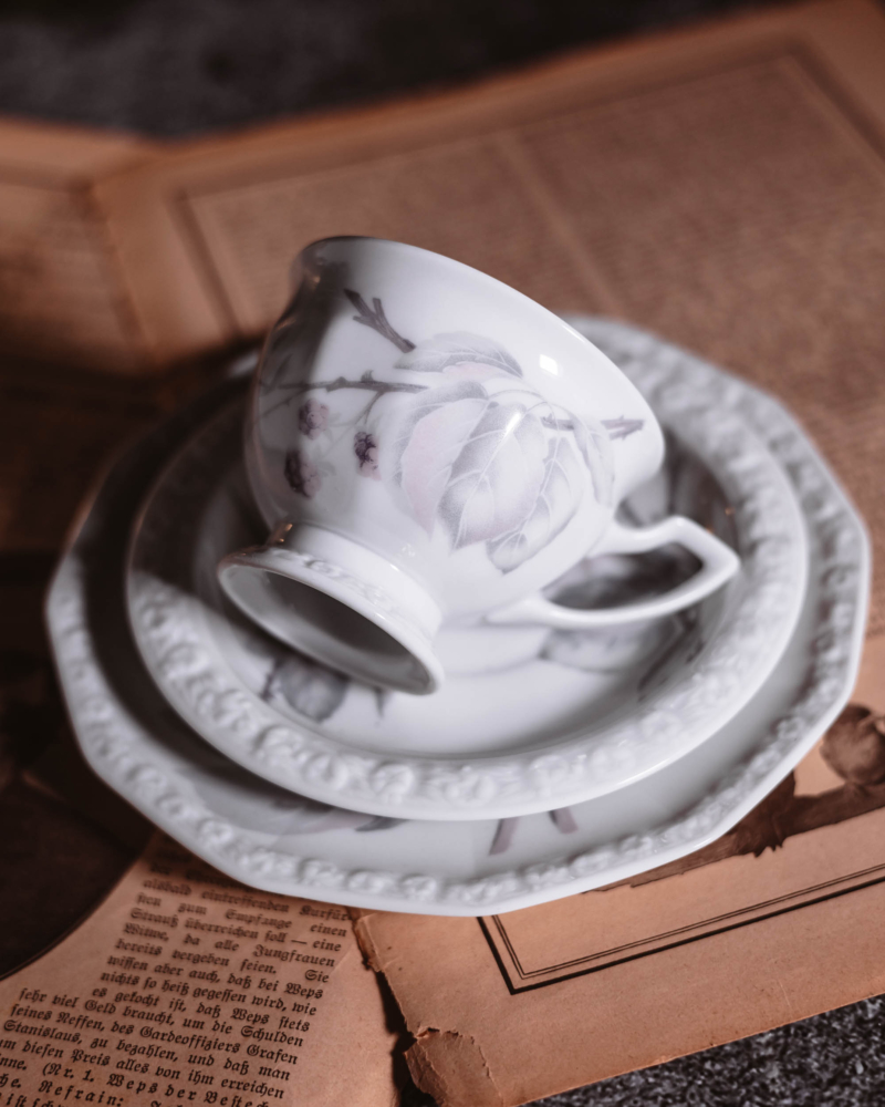 Trio kawowe Rosenthal Maria Jeżyna lata 60te