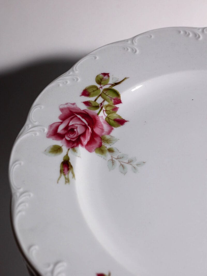 talerze-obiadowe-rosenthal-monbijou-victoria-20260608-0209 Talerze obiadowe Rosenthal Monbijou Victoria lata 70te